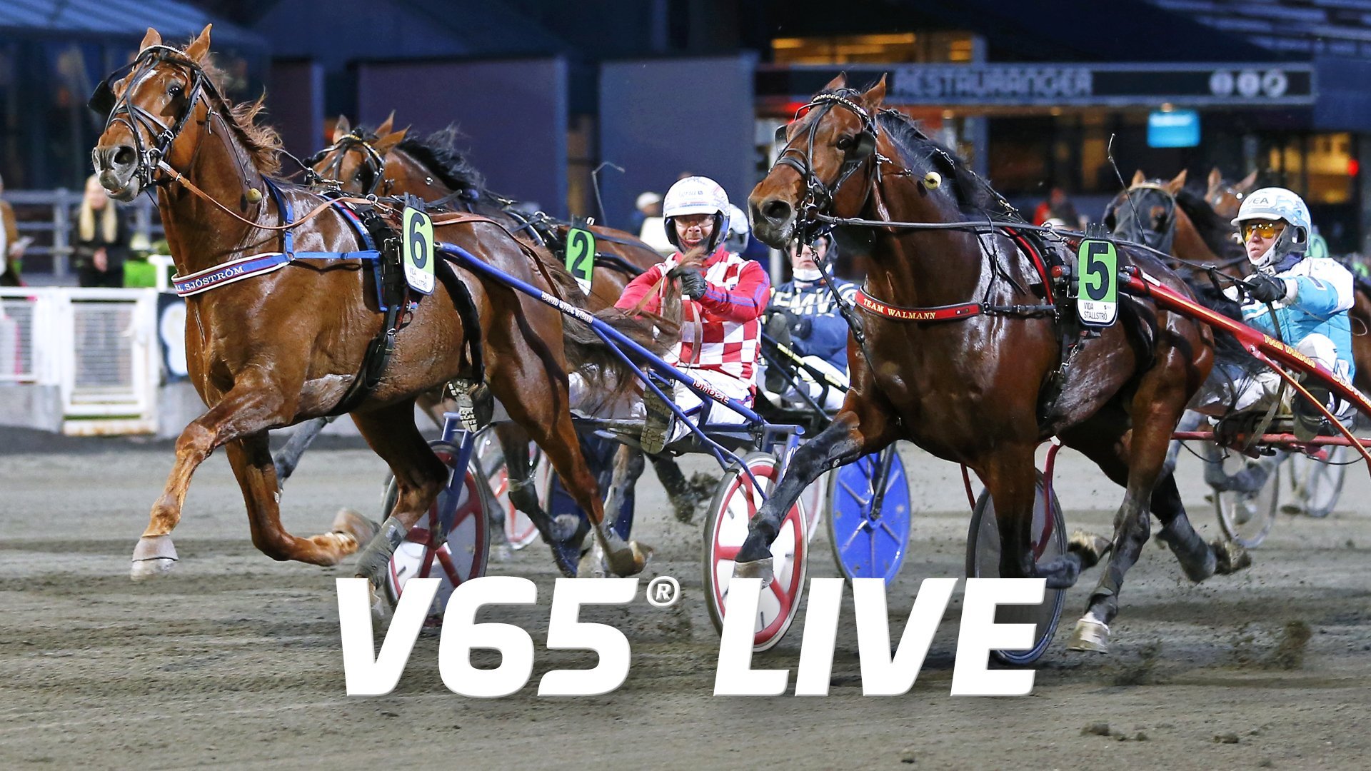V65 Live